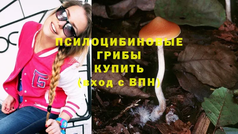 Псилоцибиновые грибы MAGIC MUSHROOMS  Бирюч 